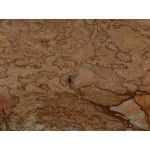 Golden Desert