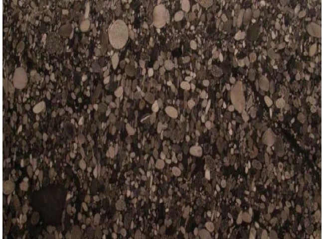 Black Mosaic