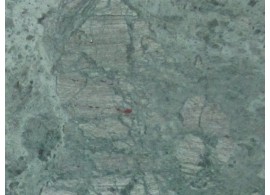 Verde Guatemala