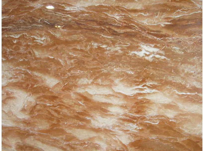 Rosa Mirage Rosa Mirage